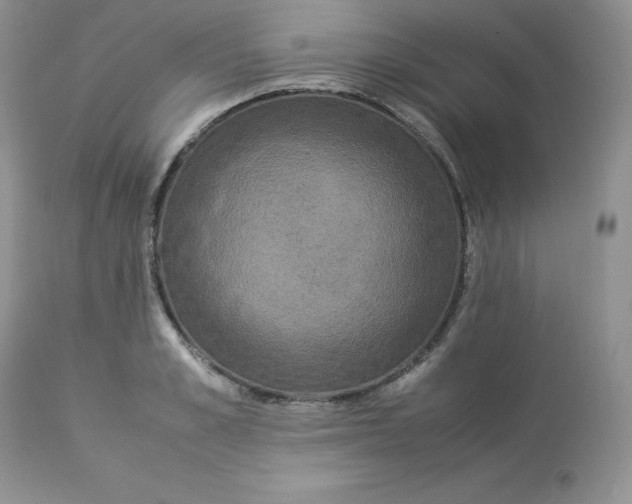 X0000112850989200909111441