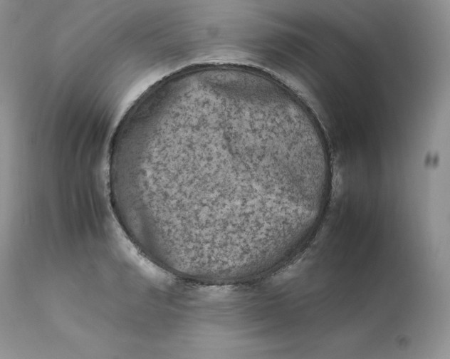 X0000112850990200909111441