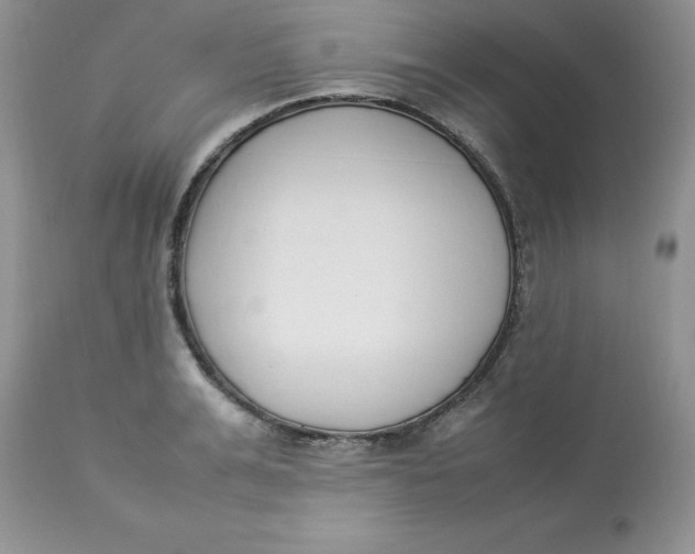 X0000112850991200909111441