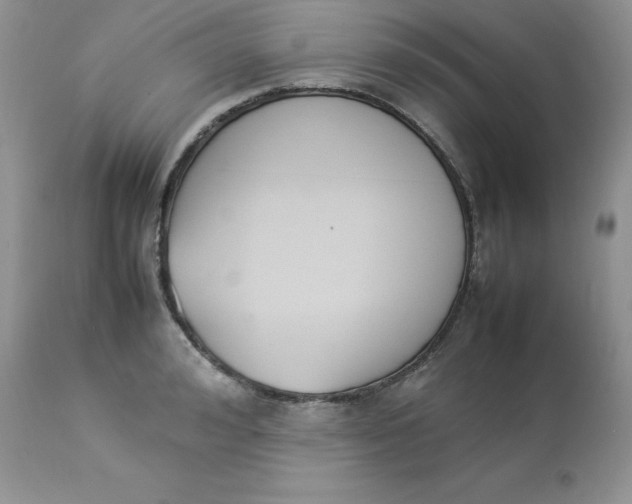 X0000112850992200909111441