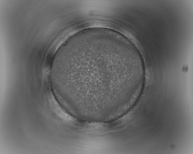 X0000112850993200909111441