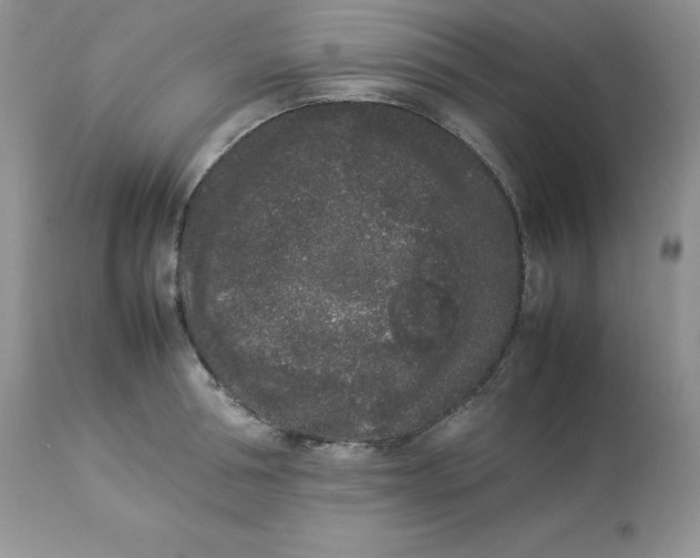 X0000112850994200909111441