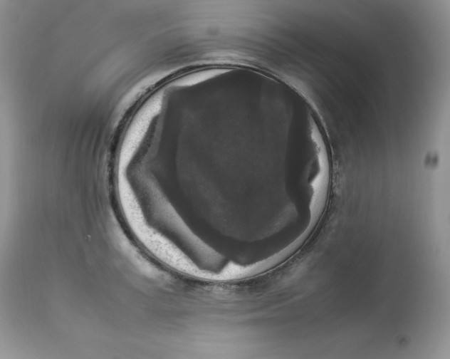 X0000112850995200909111441