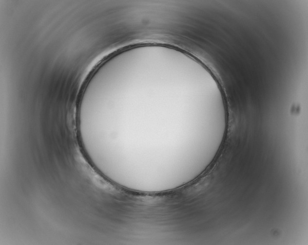 X0000112850996200909111441