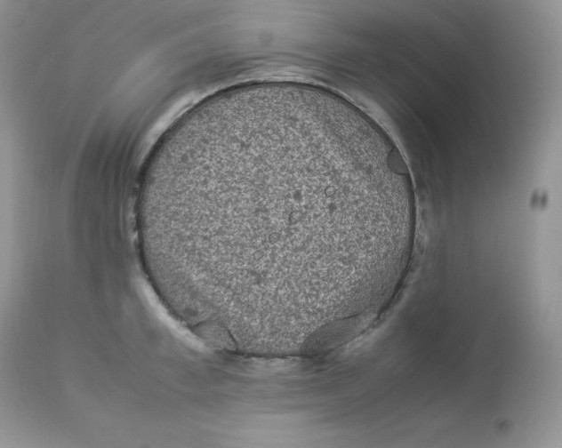 X0000112850997200909111441