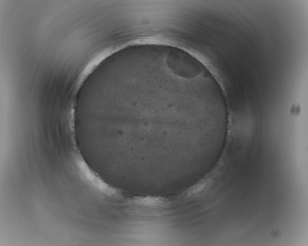 X0000112850998200909111441