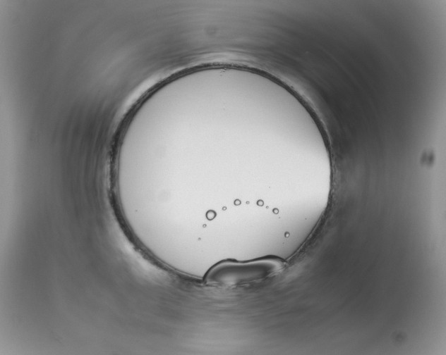 X0000112850999200909111441