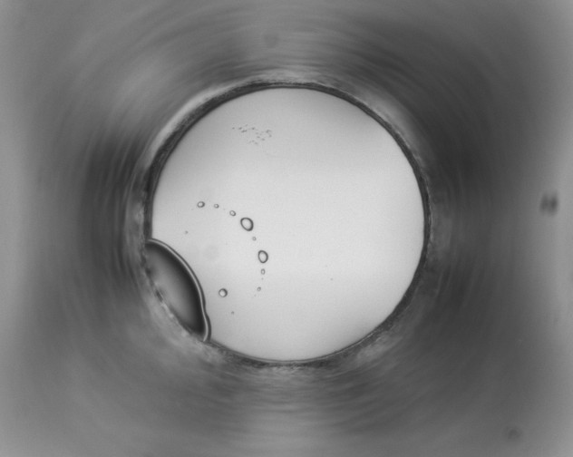 X0000112851000200909111441