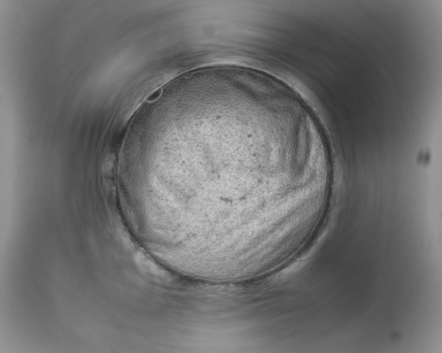 X0000112851001200909111441