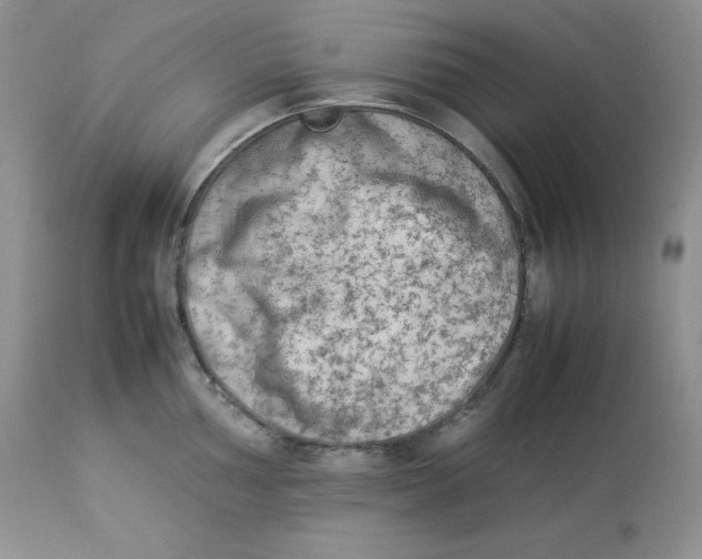 X0000112851002200909111441