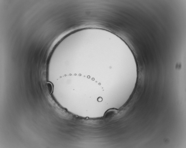 X0000112851004200909111441