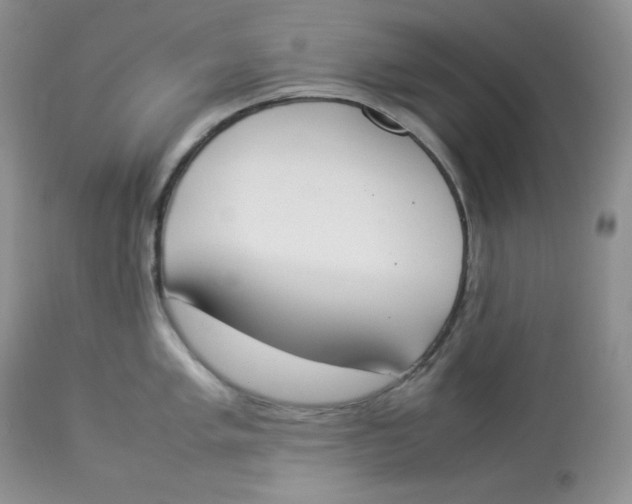 X0000112851005200909111441