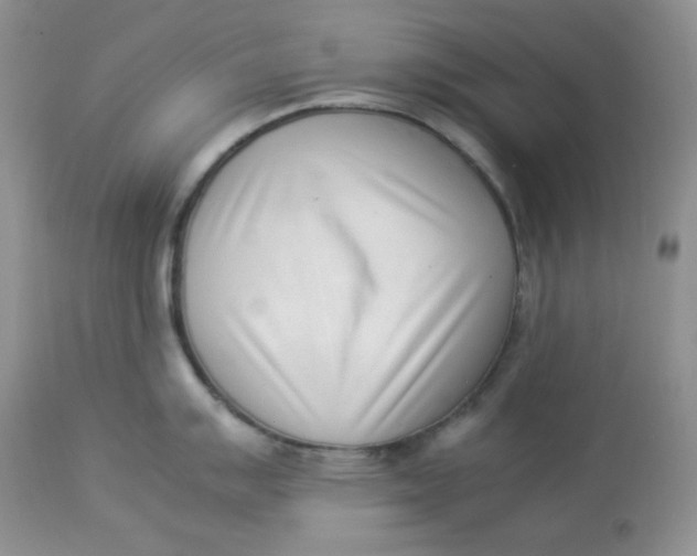 X0000112851007200909111441