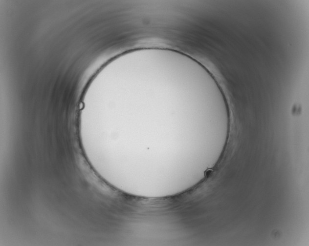 X0000112851008200909111441