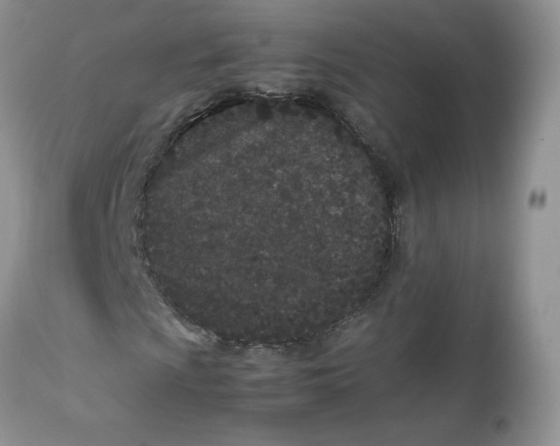 X0000112851009200909111440