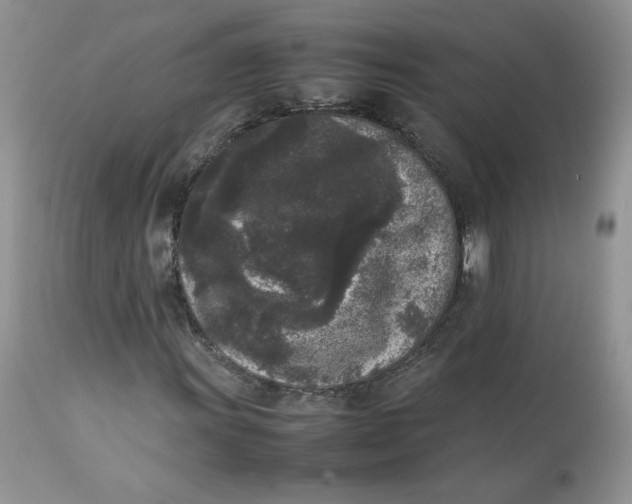 X0000112851011200909111440