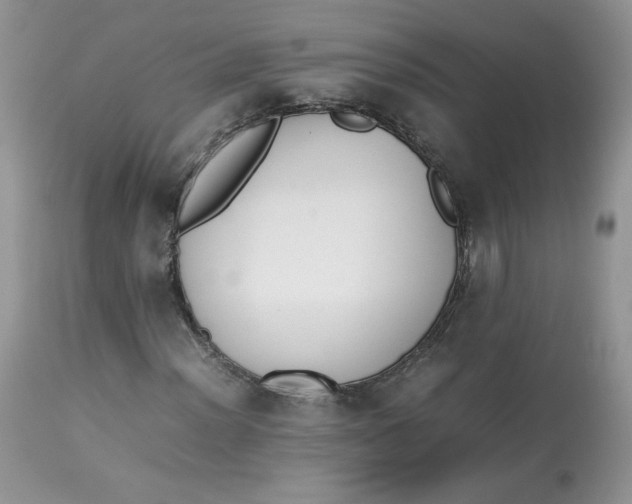 X0000112851012200909111440