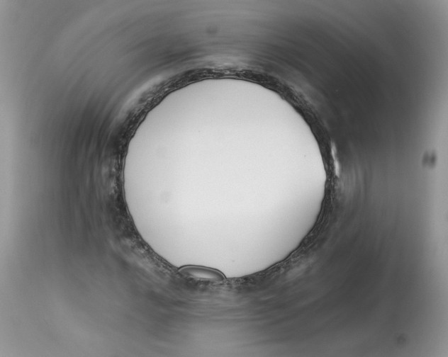 X0000112851016200909111440