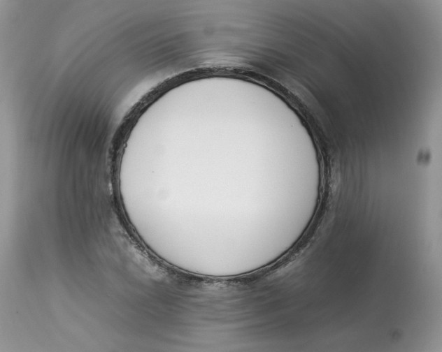 X0000112851022200909111441