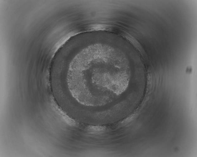 X0000112851023200909111441