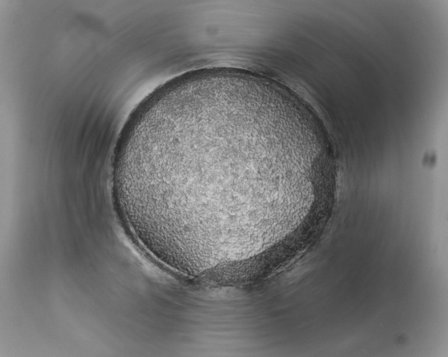 X0000112851024200909111441