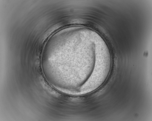 X0000112851025200909111441