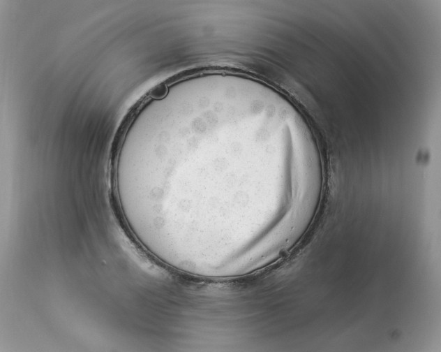 X0000112851028200909111441