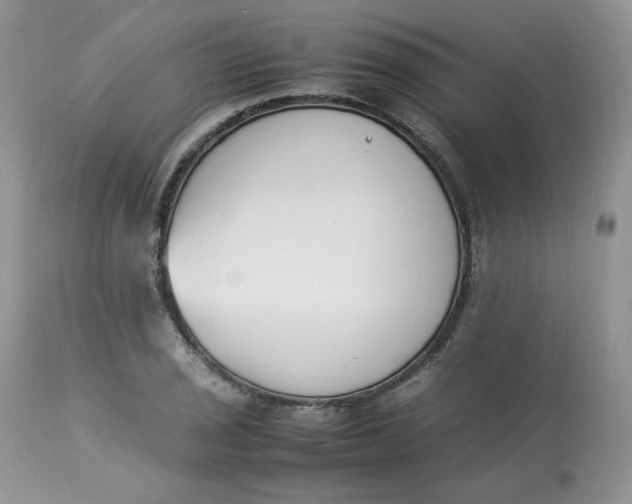 X0000112851029200909111441