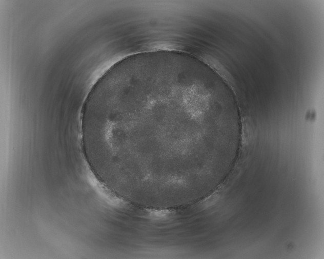 X0000112851031200909111441