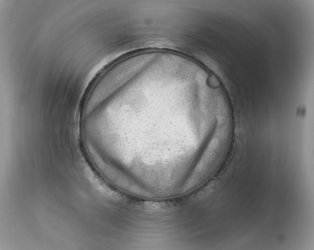 X0000112851032200909111441