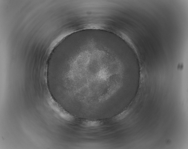 X0000112851035200909111441