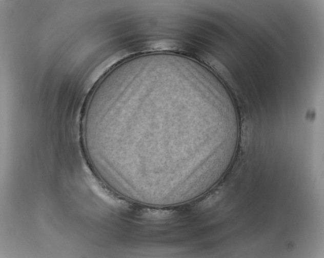 X0000112851039200909111441