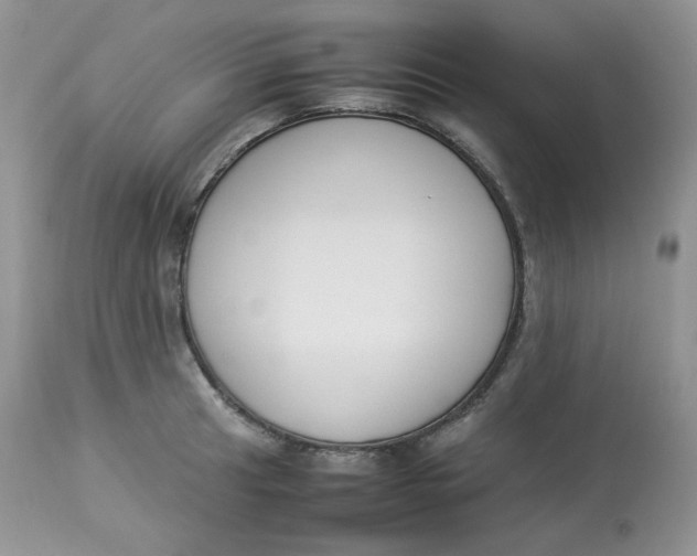 X0000112851041200909111441