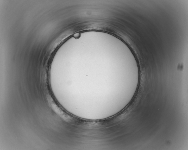 X0000112851042200909111441