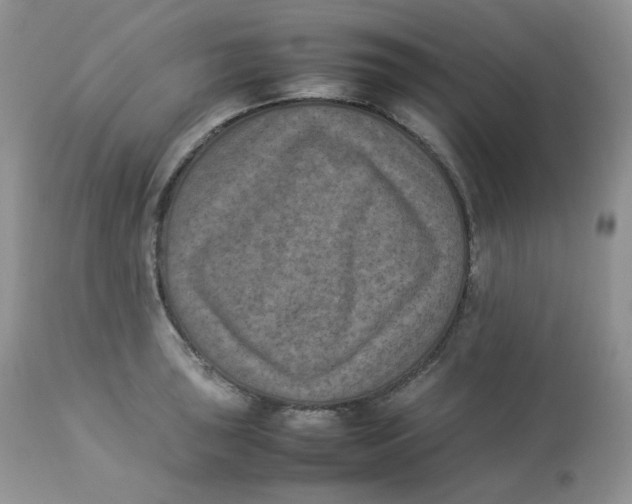 X0000112851043200909111441