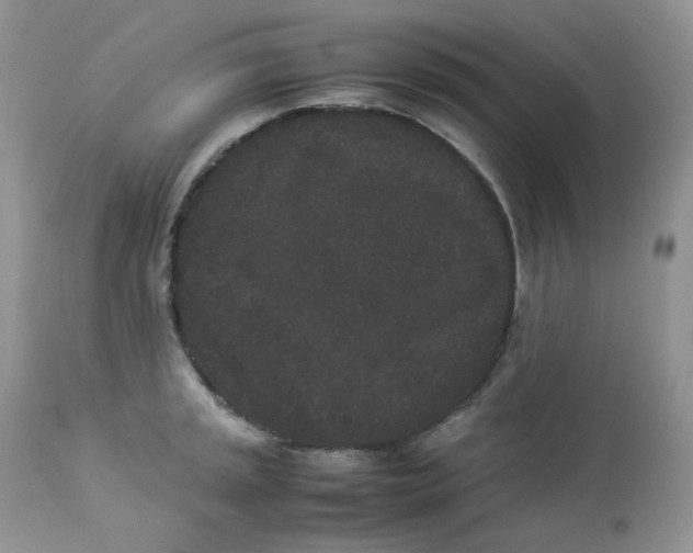 X0000112851045200909111441