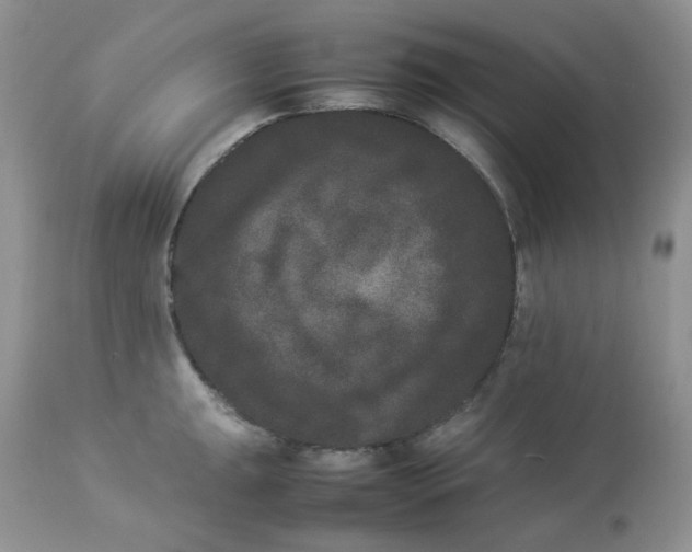 X0000112851047200909111441