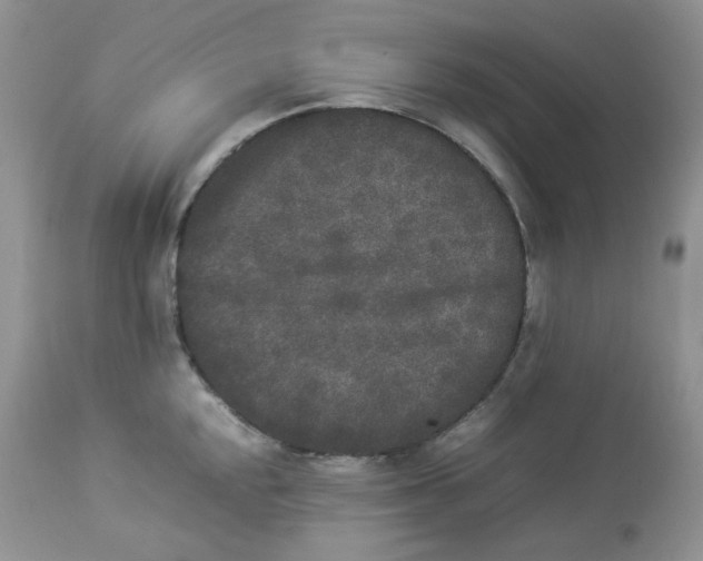 X0000112851048200909111441