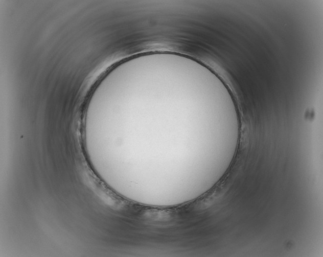 X0000112851051200909111441