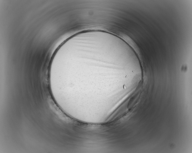 X0000112851052200909111441