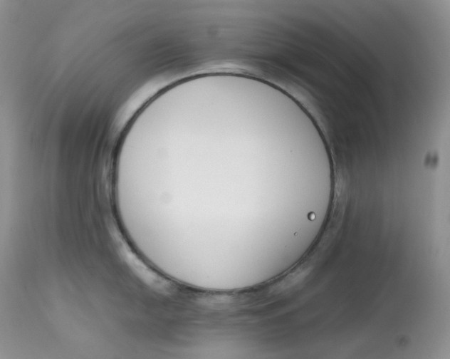 X0000112851054200909111441