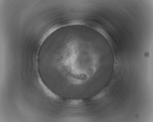 X0000112851055200909111441