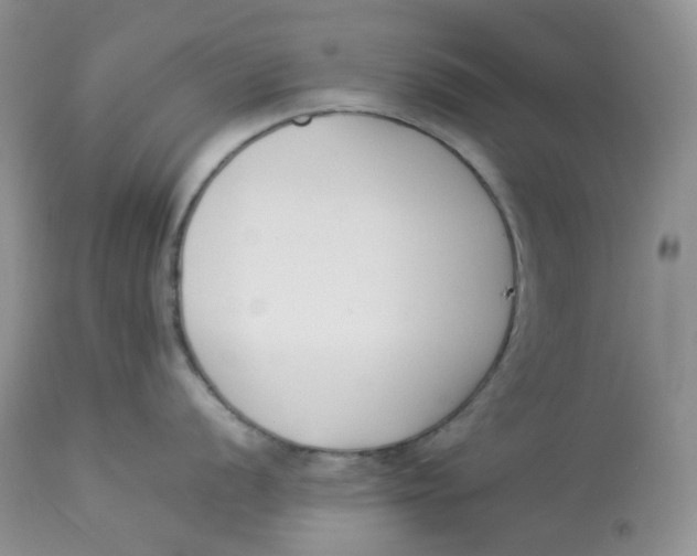 X0000112851056200909111441