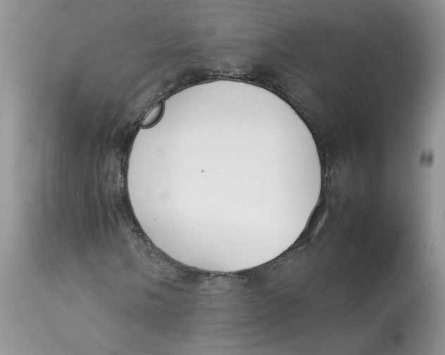 X0000112851058200909111440