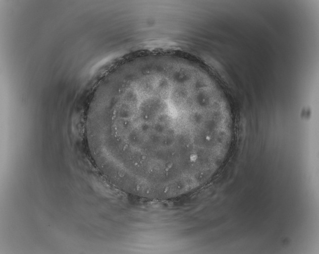 X0000112851063200909111440