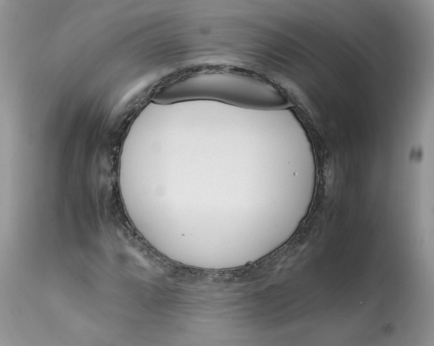 X0000112851064200909111440