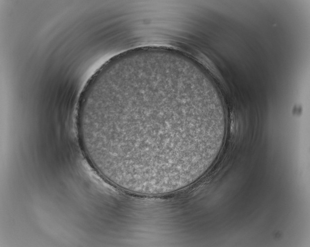 X0000112851068200909111440