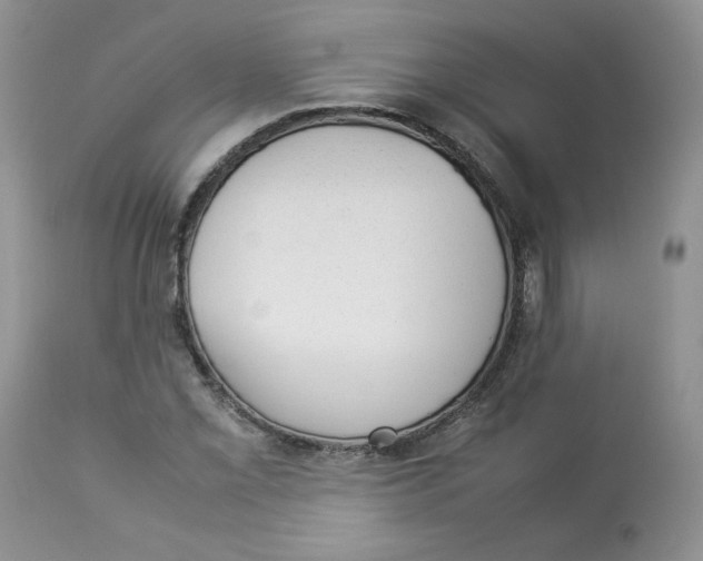 X0000112851069200909111440