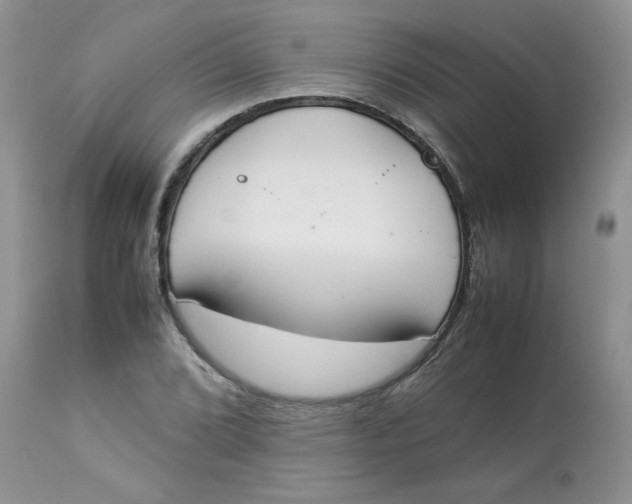 X0000112851072200909111440