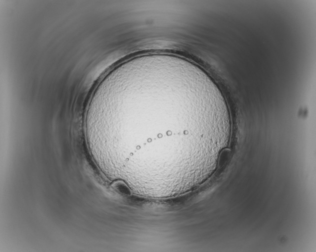 X0000112851073200909111440